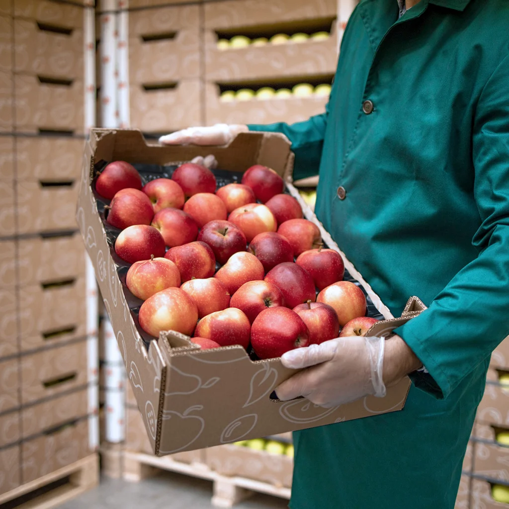 Loading and Shipping Produce